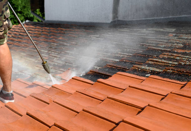 Best Garage Pressure Washing  in Watertown, FL