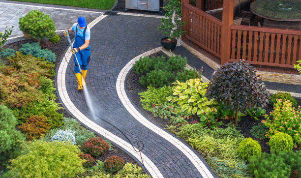 Best Pressure Washing Near Me  in Watertown, FL