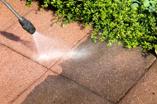 Best Deck Pressure Washing  in Watertown, FL